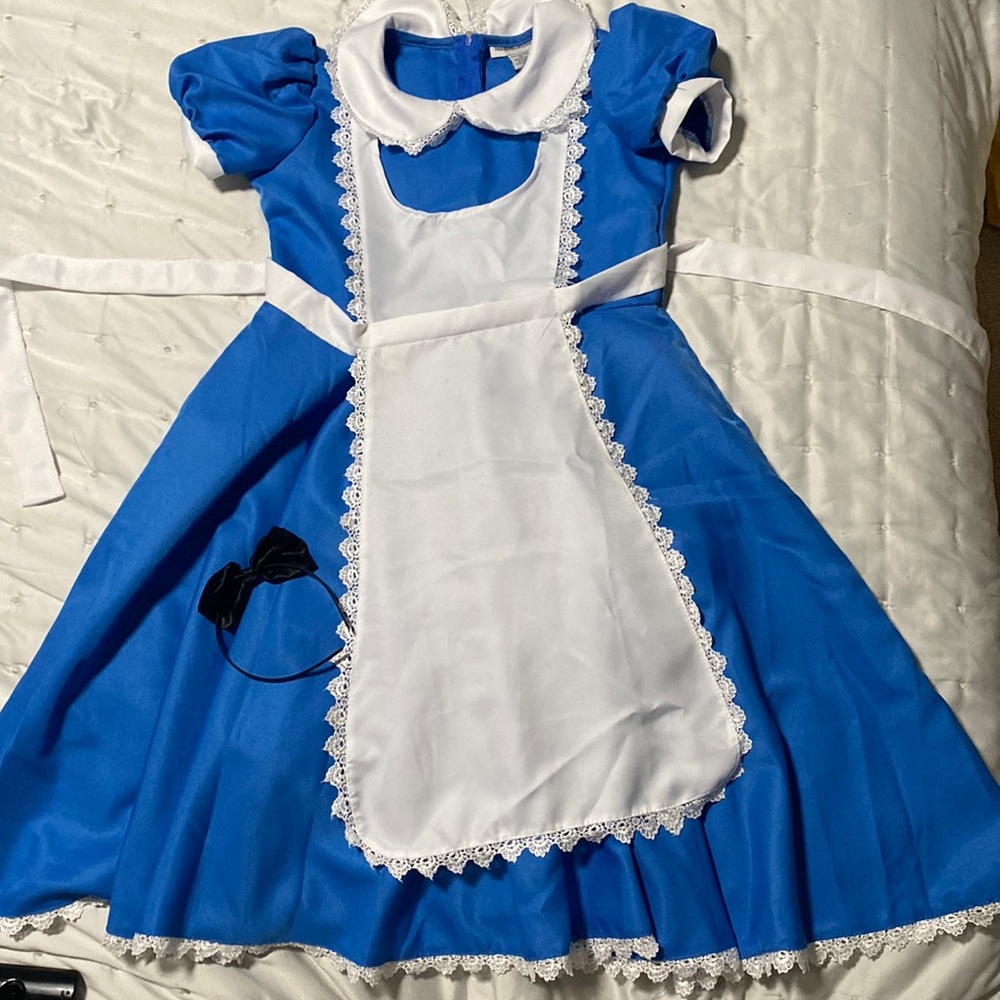 Alice in Wonderland costume